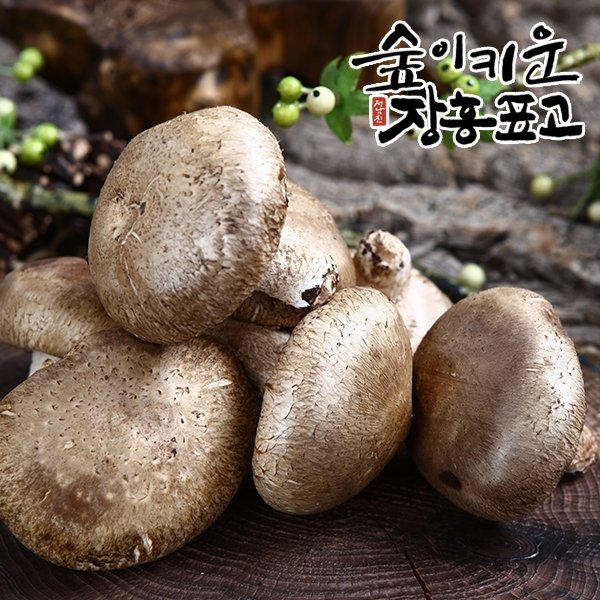 정남진장흥 건강한 영양 생표고버섯 700g(가정용)
