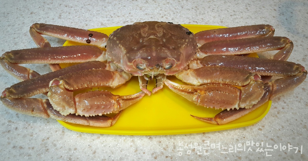 대게 맛있게 찌는 법