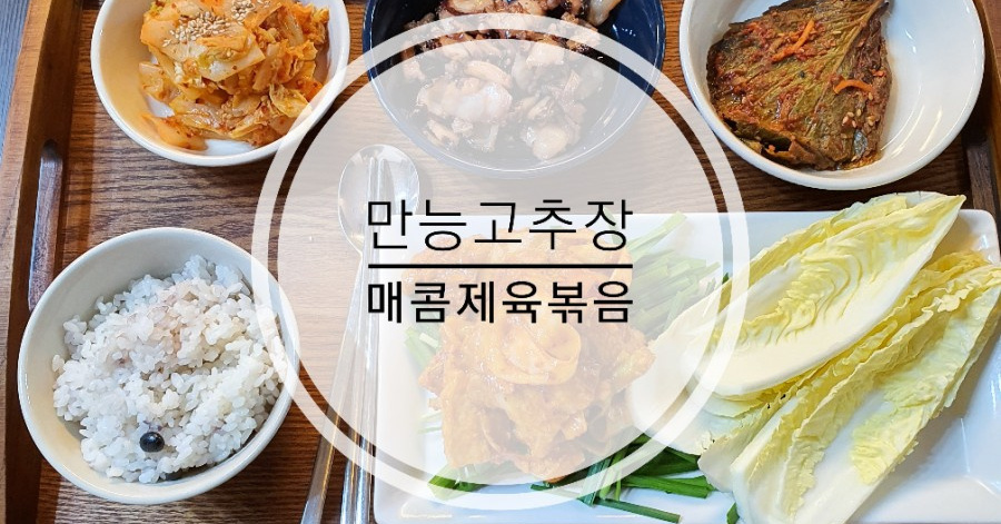 도담레시피 만능고추장 응용 매콤제육볶음 만들기