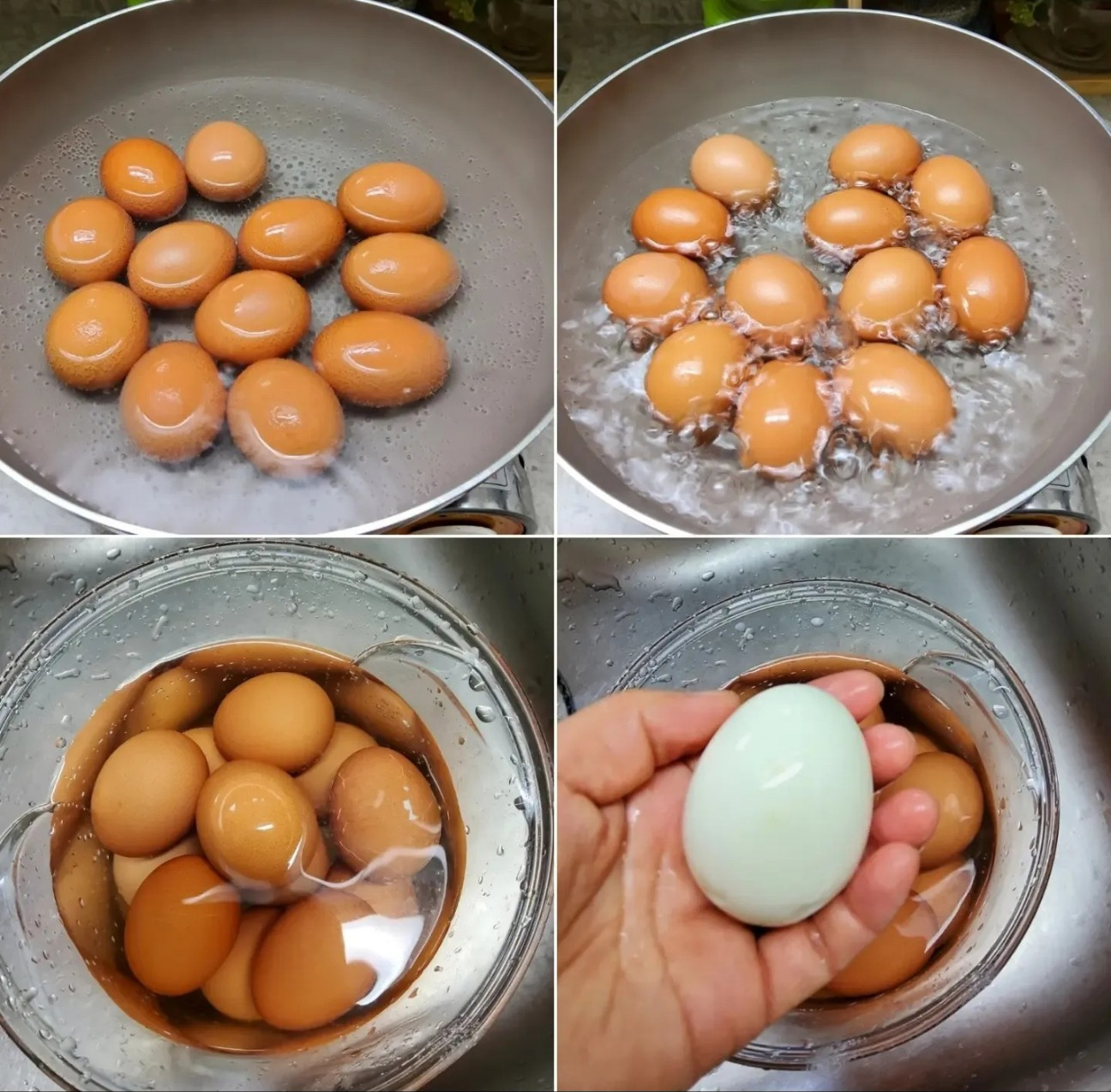 Hervir huevos 10' 