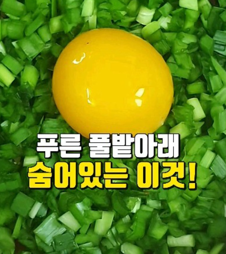 main thumb