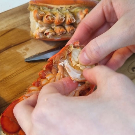 class="se-image-resource"