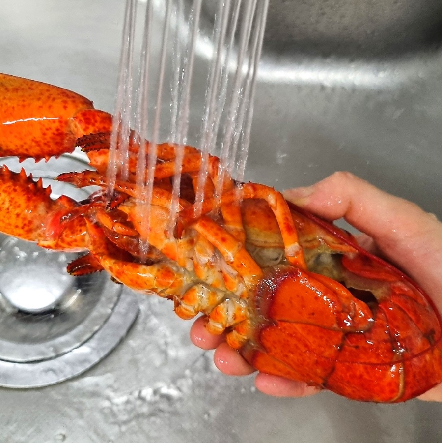 class="se-image-resource"