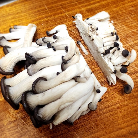 class="se-image-resource"